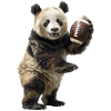 Ballon de football panda géant