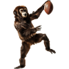 Gibbon Football