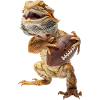 Bearded Dragons Football