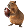 Capybara Football