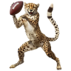 Cheetah Football