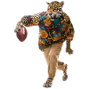 Jaguar Fußball