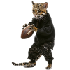 Ocelot Football