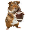 Meerschweinchen Fußball