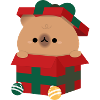 Capybara Christmas Present