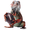 Iguana Football