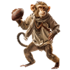 Football de singe