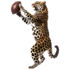 Leopard Football