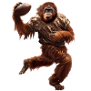 Orangutan Football