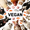 Vegan amoureux des animaux