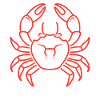 Crab