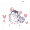 Chinchilla Chinchillas Mouse