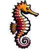 Hippocampe