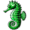 Seepferdchen