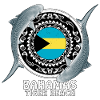 Tiger Beach Bahamas
