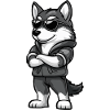 Husky Dog Cool