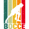 Bocce Ball Bocce Player