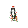 Berner Sennenhund Mode Weihnachten Familie