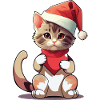 Chat Chats Chaton Père Noël