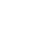 Wild gorilla