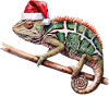 Christmas Chameleon