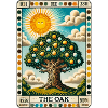 The Oak
