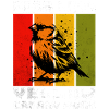 Yellow Canary Yellow-bellied Girlitz