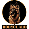 Bodyguard Dog: Vigilance Belgian Shepherd
