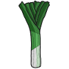 Leek