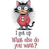 I got up Cat