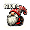 Funny Christmas Gnome Design