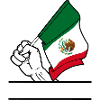Flag Mexico transparent fist