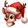 Rudolph 9