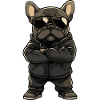 French Bulldog Dog
