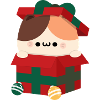 Tortie Cat Christmas Present
