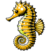 Hippocampe