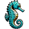 Hippocampe