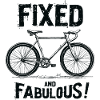 Fixies Bike Urban City Style bike