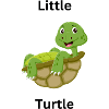 Little turtle