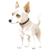 Cute Dog