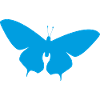 Unique Butterfly T Shirt Design