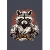 kung Fu karate raccoon