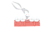 Orthodontist Cadre