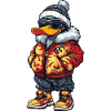 Duck Mode Hiver