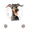 Roche Papier Ciseaux Doberman Sarcastique
