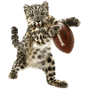 Snow Leopard Football