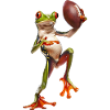 Tree Frog Soccer