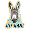 The little donkey brays