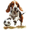 Basset
