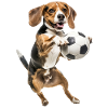 Beagle